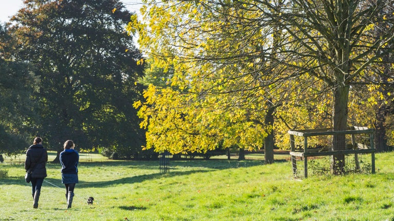 Two women wearing coats and wellington boots walk a dog on a lead through autumn trees at Wimpole Estate, Cambridgeshire